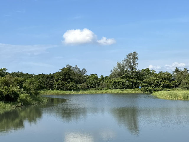 台東森林公園