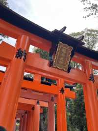 ⛩️🔥⛰️ Fushimi Inari Hike – From 1,000 Gates to the Mountain Peak