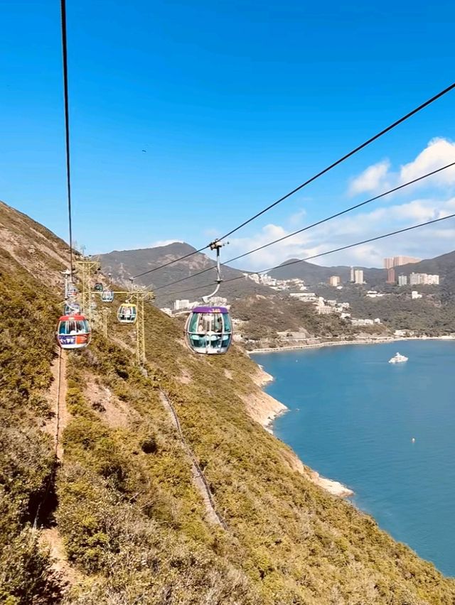 🎢🐬 Ocean Park Hong Kong – Wild Rides, Cute Creatures & Ocean Views! 🌊🐼