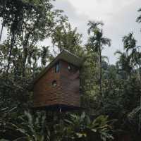 Bannaimong Treehouse
