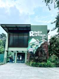 “Explore the Fascinating World of Reptiles at Rimba Reptilia”