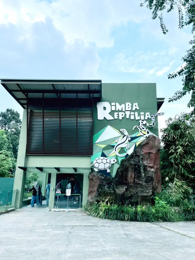 “Explore the Fascinating World of Reptiles at Rimba Reptilia”