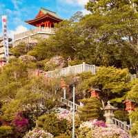 Daishōji Temple: A Riverside Retreat in Inuyama’s Summer Heat