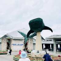 【️沖縄】 沖縄美ら海水族館🦭