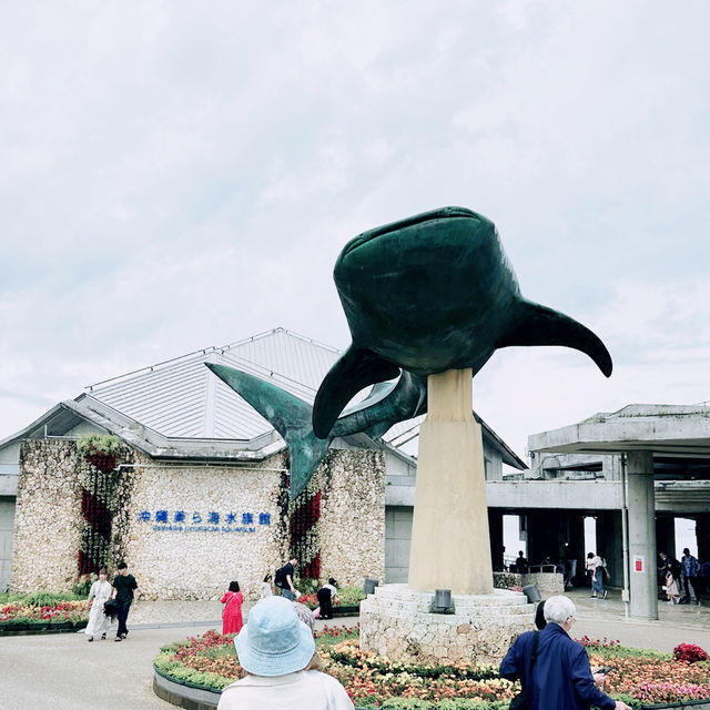 【️沖縄】 沖縄美ら海水族館🦭