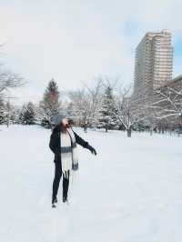 ❄️ Snowy Escape at Nakajima Park, Sapporo 