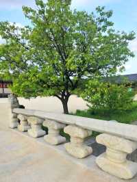 A Royal Walk Through Gyeongbokgung Palace