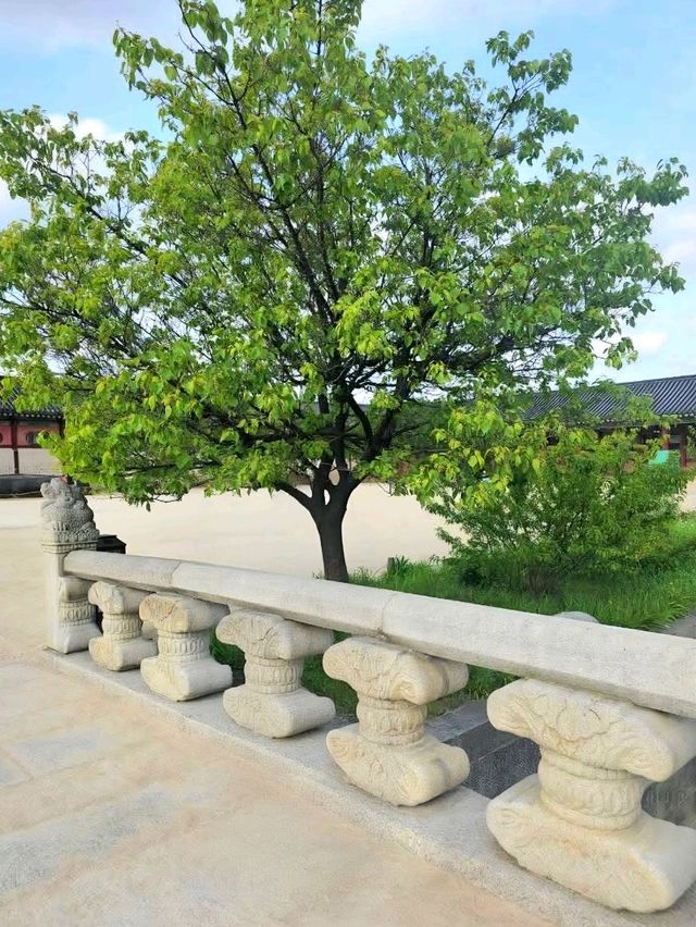 A Royal Walk Through Gyeongbokgung Palace