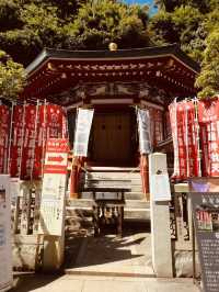 ⛩️ Solo Spiritual Escape: Enoshima Shrine – Island of Dragons & Sea Goddesses
