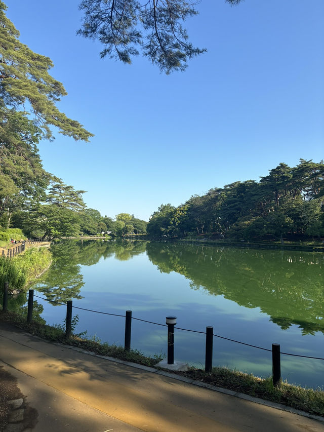 도쿄 힐링 스팟, 단연 요요기공원