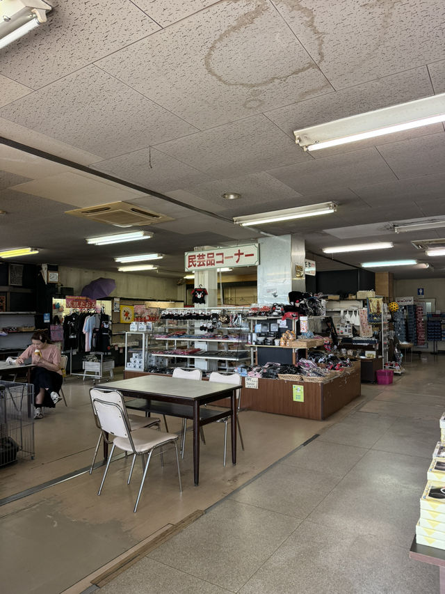 🏞️ 草千里ヶ浜「ニュー草千里」 — 大自然に抱かれる旅の駅＆物産館
