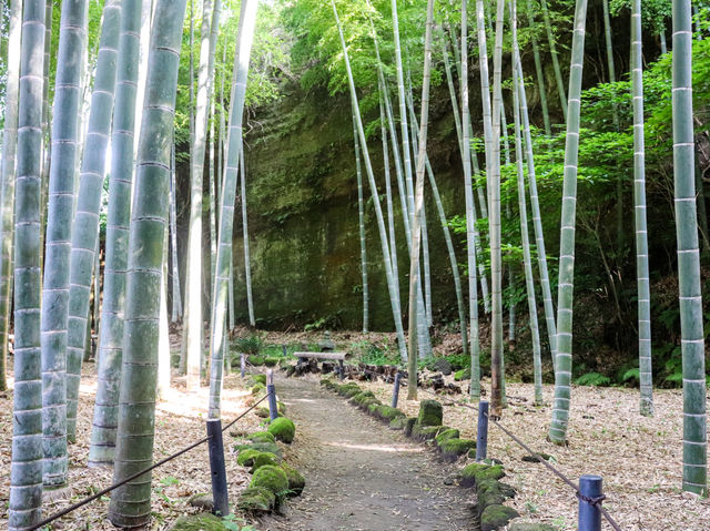 【神奈川県】 現存する鎌倉唯一の尼寺『英勝寺』