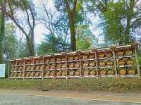 Echoes of Edo at Kan'ei-ji Temple complex