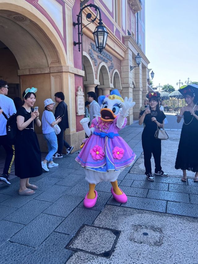Anchors Aweigh! A Deep Dive into Tokyo DisneySea