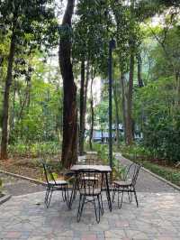 Arborea Cafe: The Chill Spot Beneath the Leaves