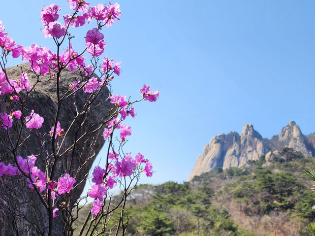 도봉산의 사계절