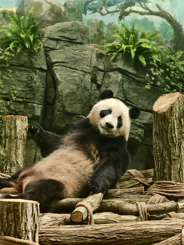 熊貓谷