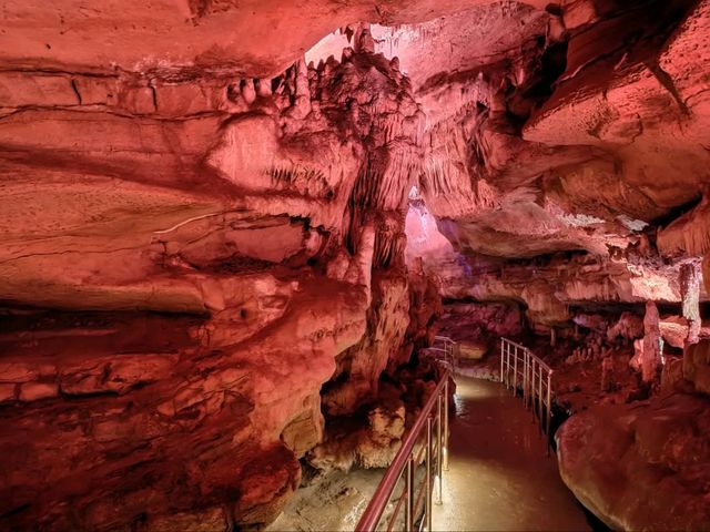 Caves & Forest Vibes
