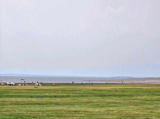 จุดกางเต็นท์บ้านหาดเล็บยาว นิวซีแลนด์เมืองไทย