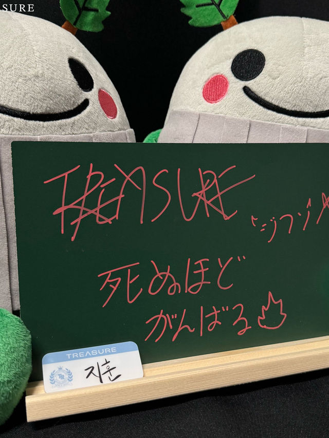 Saitama Solo Trip for Treasure concert!💎