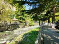 Borjomi's Cable Car + Central Park Combo