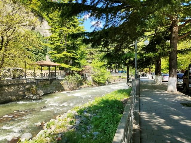 Borjomi's Cable Car + Central Park Combo