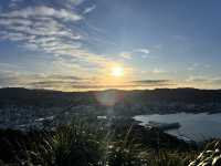 🏞️ Mount Victoria Lookout｜Wellington 城市與海港的天然畫框
