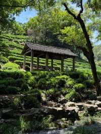 Jiuxi Shibajian 🌿💧