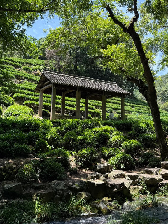 Jiuxi Shibajian 🌿💧