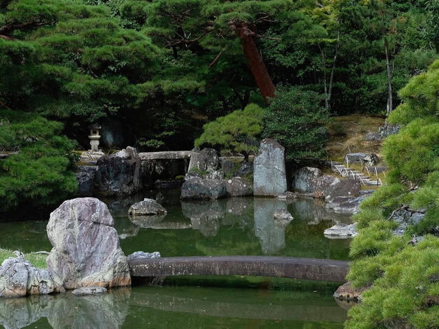 【上賀茂神社】京都最古の神社で心清める⛩️神聖な空気に包まれる癒しの旅