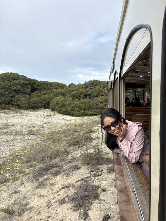 Rottnest Island: Smile with a Quokka!
