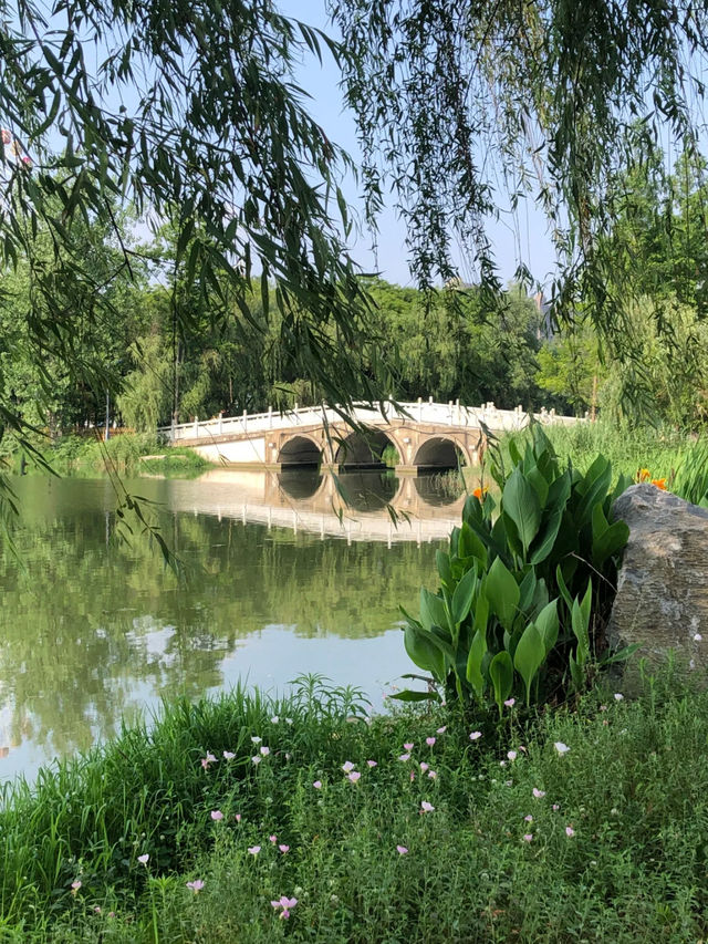 Yanghu Wetland Park 🌾