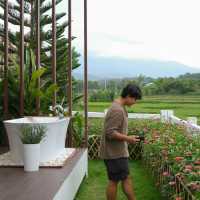 ที่พักริมทุ่งนาสุดมินิมอล วิวภูเขา จ.น่าน