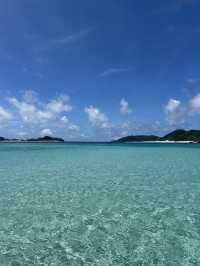 世界トップ100の海