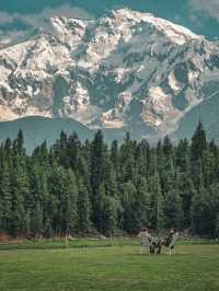 ปากีสถาน เหนือ