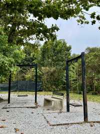 Free & Serene: Why Locals Love Taman Tugu’s Trails