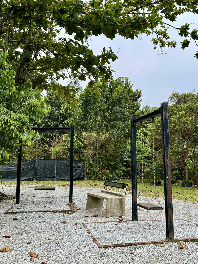 Free & Serene: Why Locals Love Taman Tugu’s Trails