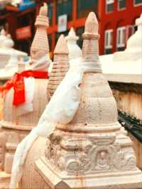 Boddha Stupa