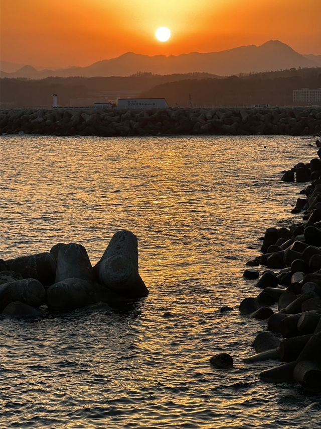 🌊 바다와 숲의 힐링 여행, 울진 2박 3일 코스