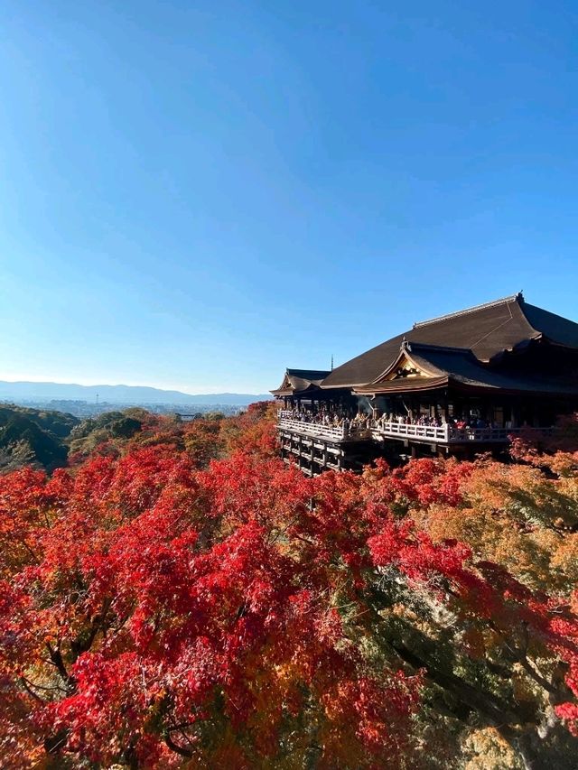 Osaka Castle