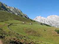 Rolling Hills and Cow Bells at Collado de Pandébano