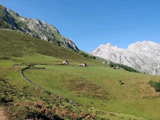 Rolling Hills and Cow Bells at Collado de Pandébano