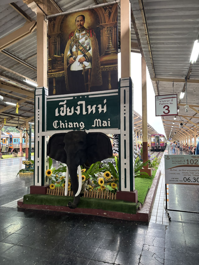 นั่งรถไฟจากเชียงใหม่ 1 ชั่วโมง ! ไปเดินป่า