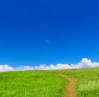 A Peaceful Escape to Authentic Jeju Nature