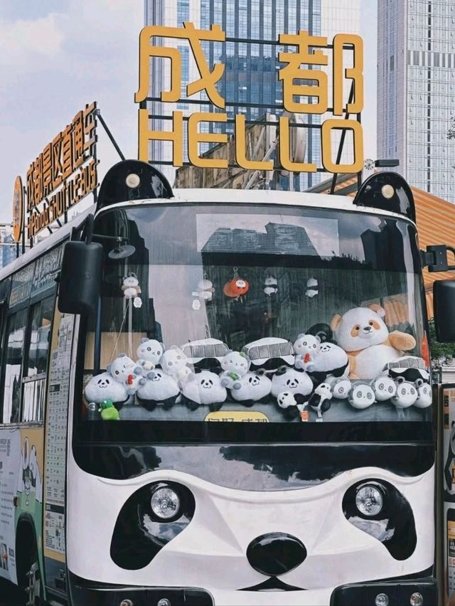 “Chengdu’s Climbing Panda: I Am Here”