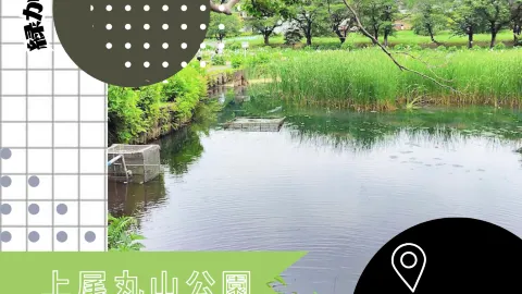 【사이타마/우에오 🇯🇵】초록을 느끼면 🌱마루야마 공원 — traveler post in 아게오