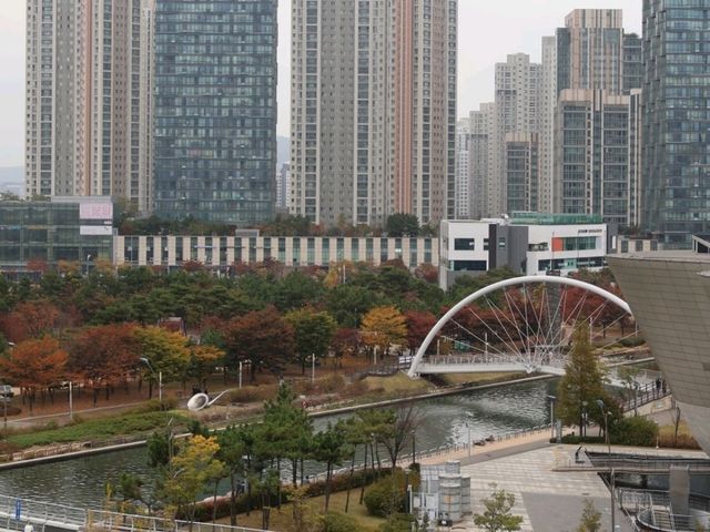 봄의 센트럴파크