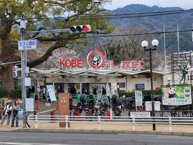 日本神戶櫻花祭必訪景點 日本神戶櫻花祭必訪景點