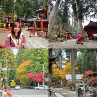 🌸 นิกโก้ – เมืองศักดิ์สิทธิ์ท่ามกลางธรรมชาติ 🌲🏯