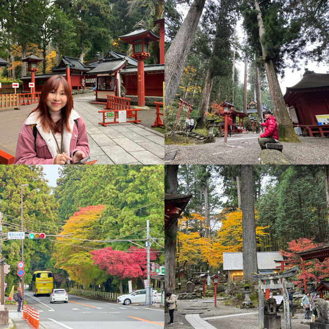 🌸 นิกโก้ – เมืองศักดิ์สิทธิ์ท่ามกลางธรรมชาติ 🌲🏯